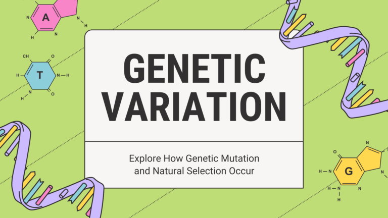 Understanding Genetic Variation